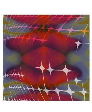 Body Studies — Scarlet star print scarf