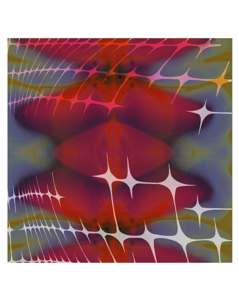 Body Studies — Scarlet star print scarf